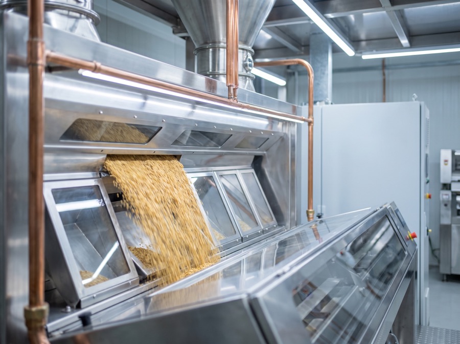 Grain flowing through a stainless-steel sortex colour-sorting machine in a processing mill